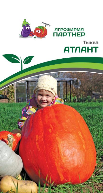 Партнер Тыква АТЛАНТ ^(10шт), изображение 0
