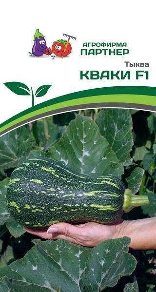 Партнер Тыква КВАКИ ^(5шт), изображение 0
