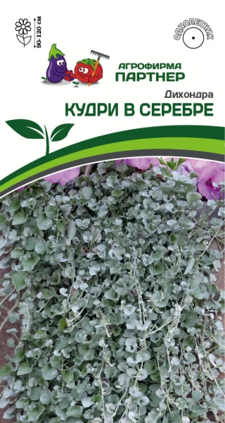 Партнер Дихондра серебристая КУДРИ В СЕРЕБРЕ ^(4шт в амп)