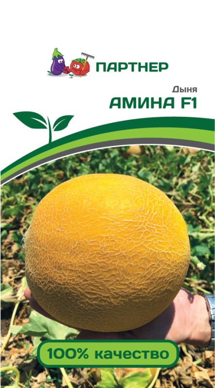 Партнер Дыня АМИНА F1 ^(5шт), изображение 0