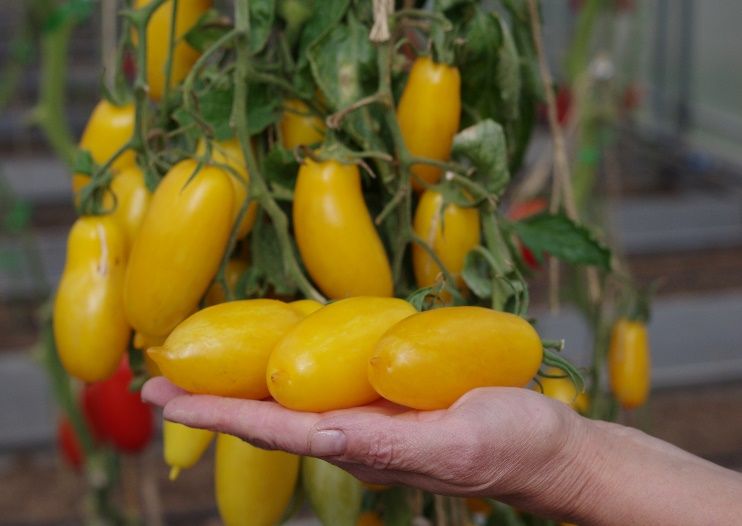 image009.jpg