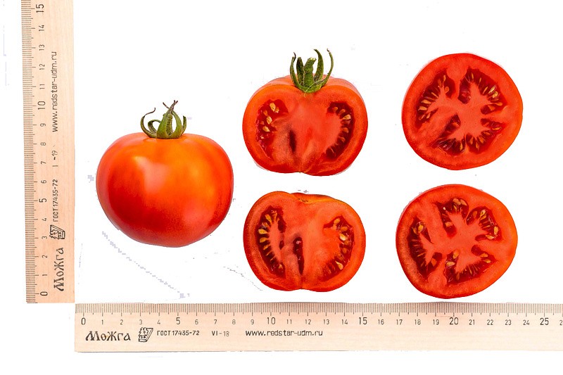 Партнер Томат КАРЕН F1 ^(5шт) 2-ной пак, изображение 5
